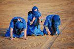 Sandboarders Praying to LR.JPG