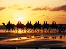 camel-caravan-520241-sw.jpg