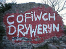 Cofiwch_Dryweryn.jpg
